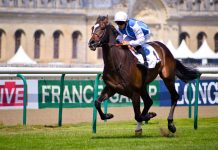 Маті Латвала бореться і захоплює тонке лідерство на ралі Іспанії цими вихідними